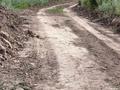 Жер телімі · 10 сотық, Таусамалы, бағасы: 6.5 млн ₸ в Кыргауылдах — фото 12