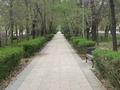 1-бөлмелі пәтер · 50.7 м² · 3/7 қабат, Абая 141 — Абая жарокова, бағасы: 44.5 млн ₸ в Алматы, Алмалинский р-н — фото 2