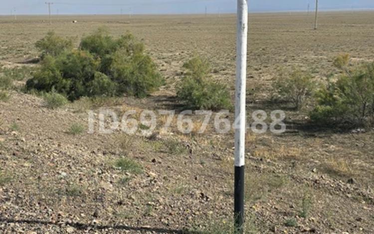 Жер телімі · 1 га, Шонжы, бағасы: 28 млн ₸ в Чундже — фото 2