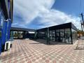 Свободное назначение, общепит · 380 м² за 599 640 ₸ в Талдыкоргане — фото 21