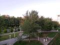 1-бөлмелі пәтер · 43.7 м² · 2/5 қабат, Нұрсәт ш/а 17 — напротив назарбаевской школы, бағасы: 21.5 млн ₸ в Шымкенте, Каратауский р-н — фото 11