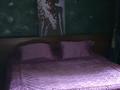 Дом · 3 комнаты · 500 м², 11-й микрорайон, Бекет батыра 120 — Бекет батыра и аймаутова за 120 000 〒 в Шымкенте, Енбекшинский р-н — фото 5