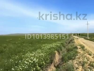 Участок · 40 га, Касымбек 300 за 230 млн ₸ в Турарских дач