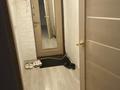 2-комнатная квартира · 58 м² · 1/5 этаж, Мрк авангард 3 36 — Авангард 3 за 9 000 ₸ в Атырау, мкр Авангард-3 — фото 17