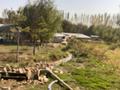 Участок · 100 соток, СТ Ленинский за ~ 100 млн ₸ в Каскелене — фото 9