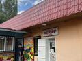 3-бөлмелі пәтер · 63 м² · 5/5 қабат, ул Бейсеуова 29, бағасы: 18 млн ₸ в Каргалы (п. Фабричный) — фото 22