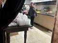 Общепит · 200 м² за 350 млн ₸ в Шымкенте, Аль-Фарабийский р-н — фото 13