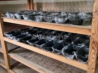 Қоғамдық тамақтану орны · 50 м², бағасы: 100 000 ₸ в Туркестане