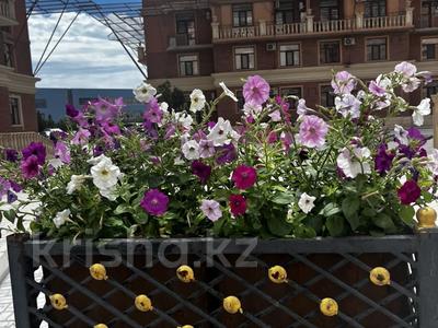 1-комнатная квартира · 60 м² · 10 этаж, 17-й мкр 11 за 2 500 ₸ в Актау