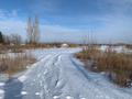 Жер телімі · 5.4 сотық, Восточный правый, бағасы: 1.5 млн ₸ в Семее — фото 3