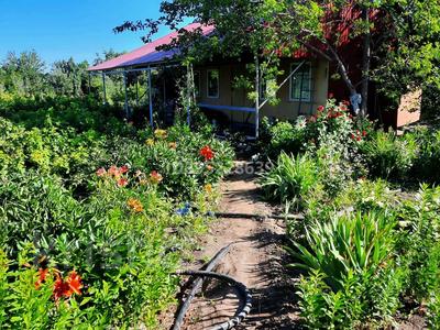 Дача · 2 комнаты · 30 м² · 10 сот., С/тСокол 27 за 6 млн 〒 в Жаик-2