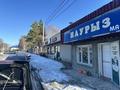 Действующий бизнес с участком · 150 м² за 60 млн ₸ в Текели — фото 2