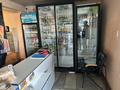Действующий бизнес с участком · 150 м² за 60 млн ₸ в Текели — фото 4