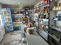 Действующий бизнес с участком · 150 м² за 60 млн ₸ в Текели — фото 5