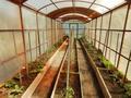 Отдельный дом · 5 комнат · 230 м² · 12 сот., Подгорная ул. 13 за 99 млн ₸ в Горной Ульбинке — фото 32