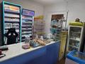 Свободное назначение, магазины и бутики, общепит · 130 м² за 350 000 〒 в Талдыкоргане