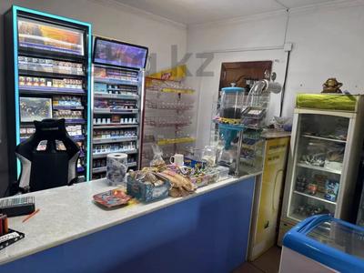 Еркін, дүкендер мен бутиктер, қоғамдық тамақтану орны · 130 м², бағасы: 350 000 〒 в Талдыкоргане
