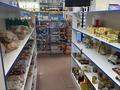 Свободное назначение, магазины и бутики, общепит · 130 м² за 350 000 〒 в Талдыкоргане — фото 6