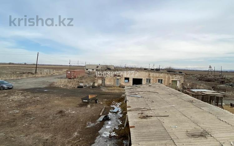 Сельское хозяйство · 2000 м² за 24 млн ₸ в Талдыкоргане — фото 5