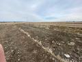 Сельское хозяйство · 2000 м² за 24 млн ₸ в Талдыкоргане — фото 5