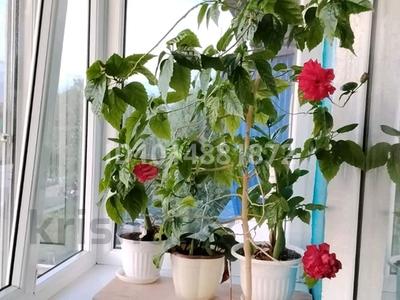 3-комнатная квартира · 48.1 м² · 5/5 этаж, мкр Айгуль 53 за 13 млн ₸ в Уральске