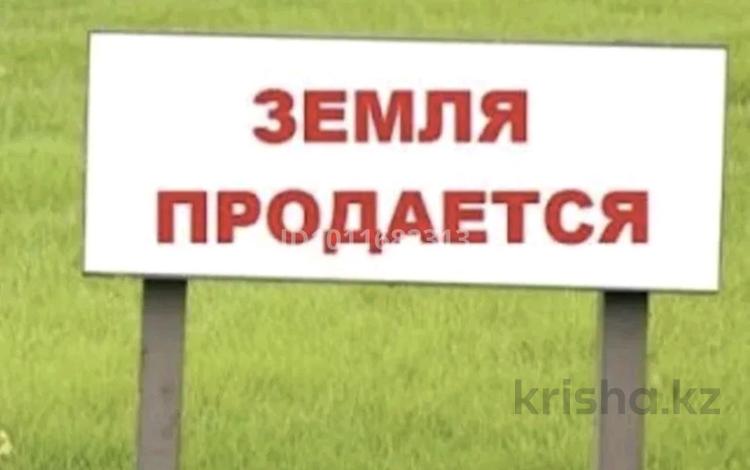 Участок · 80 соток, Каракемер за 2.6 млн ₸ — фото 2