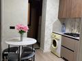 1-комнатная квартира · 46 м² · 4/5 этаж, мкр Карасу 27 за 130 000 ₸ в Шымкенте, Аль-Фарабийский р-н — фото 4