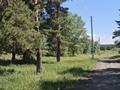 Жер телімі · 39 сотық, Промкомбинат 94, бағасы: 10 млн ₸ в Имантау — фото 2