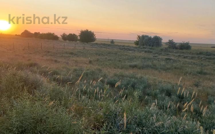 Участок · 2 га, мкр Специальная экономическая зона "Оңтүстік" — Европа Китай трасса в районе на против дача Кайнар булак за 20 млн ₸ в Шымкенте, Енбекшинский р-н — фото 2