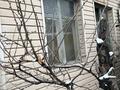Часть дома · 2 комнаты · 20 м² · 1 сот., мкр Тастак-1, Мкр Тастак-1 Вилюйскач 56 — Толе -би за 53 млн ₸ в Алматы, Ауэзовский р-н — фото 3