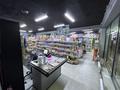 Магазины и бутики · 150 м² за ~ 1.4 млн ₸ в Туздыбастау (Калинино)