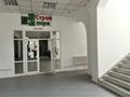 Магазины и бутики • 1000 м² за 2 млн 〒 в Рудном — фото 53