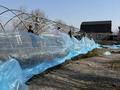 Сельское хозяйство · 300 м² за 100 000 ₸ в Алматы, Медеуский р-н