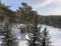 Бизнес дом отдыха · 800 м², бағасы: 315 млн ₸ в Щучинске — фото 17