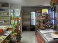 Магазины и бутики · 42 м² за 10 500 ₸ в Астане, Сарыарка р-н — фото 2
