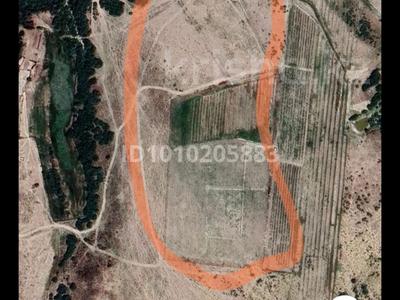 Жер телімі · 3 га, Арысь, бағасы: 6 млн ₸