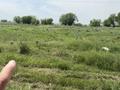 Участок · 5 соток, Карасай за 3.5 млн 〒 в Алматинской обл. — фото 3