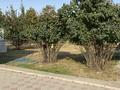 Отдельный дом · 5 комнат · 160 м² · 12 сот., Байсерикова 80 за 37 млн ₸ в Тюлькубасе — фото 3