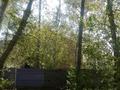 Часть дома · 4 комнаты · 96 м² · 10 сот., Пролетарская 11/2 за 20 млн ₸ в Кокпекты — фото 2