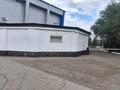 Свободное назначение · 200 м² за 55 млн ₸ в Сатпаев — фото 7