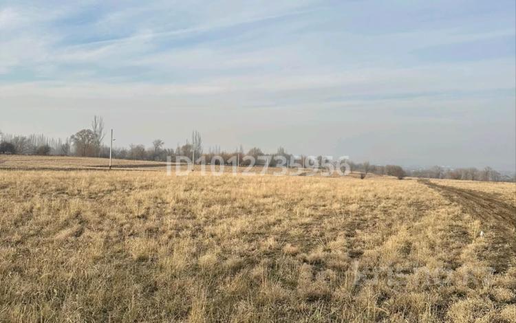Жер телімі · 5 сотық, Уч.кв.203 — Южный, бағасы: 6.5 млн ₸ в Каскелене — фото 5
