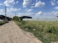 Участок · 10 соток, Чукубасова за 15 млн ₸ в Туздыбастау (Калинино) — фото 8