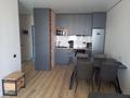 2-комнатная квартира · 42 м² · 9/9 этаж, Трасса Астана-Караганда 4/3 за 250 000 ₸ в Сарайшык р-н — фото 4