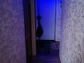2-комнатная квартира · 44 м² · 3/5 этаж, назарьаева 16 — лермантова кутузова за 19 млн ₸ в Павлодаре — фото 6