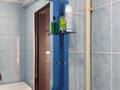 2-бөлмелі пәтер · 54 м² · 9/9 қабат, мкр Юго-Восток, Мкр Гульдер 2 22, бағасы: 25 млн ₸ в Караганде, Казыбек би р-н — фото 13