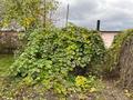 Отдельный дом · 4 комнаты · 51 м² · 85 сот., мкр Фёдоровка , Углесборочная 5 — Углесборочная за 14 млн ₸ в Караганде, Казыбек би р-н — фото 9