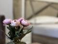 Бани, гостиницы и зоны отдыха · 130 м² за 48 млн ₸ в Шымкенте, Аль-Фарабийский р-н — фото 27