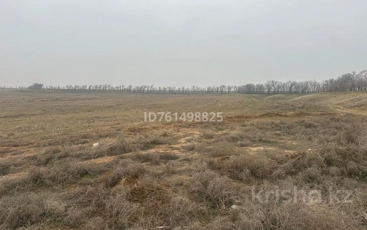 Участок · 1 га, мкр Бозарык за 400 млн ₸ в Шымкенте, Абайский р-н — фото 2