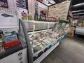 ПРОДАЁТСЯ ГОТОВЫЙ РЫБНЫЙ ОТДЕЛ В ТОРГОВОМ ЦЕНТРЕ · 15 м², бағасы: 5 млн ₸ в Усть-Каменогорске — фото 6