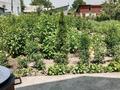 Жеке үй · 6 бөлме · 120 м² · 8 жүзд., ул. Островского 53, бағасы: 50 млн ₸ в Алматинской обл. — фото 6
